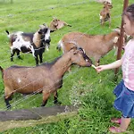 Le Val De Trie Camping Béhen