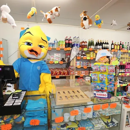 キャンプ場 Le Val De Trie